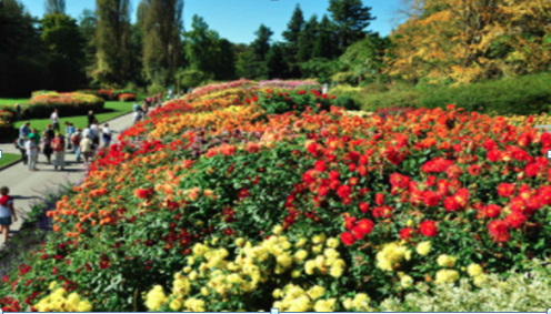 Mainau  flower island 